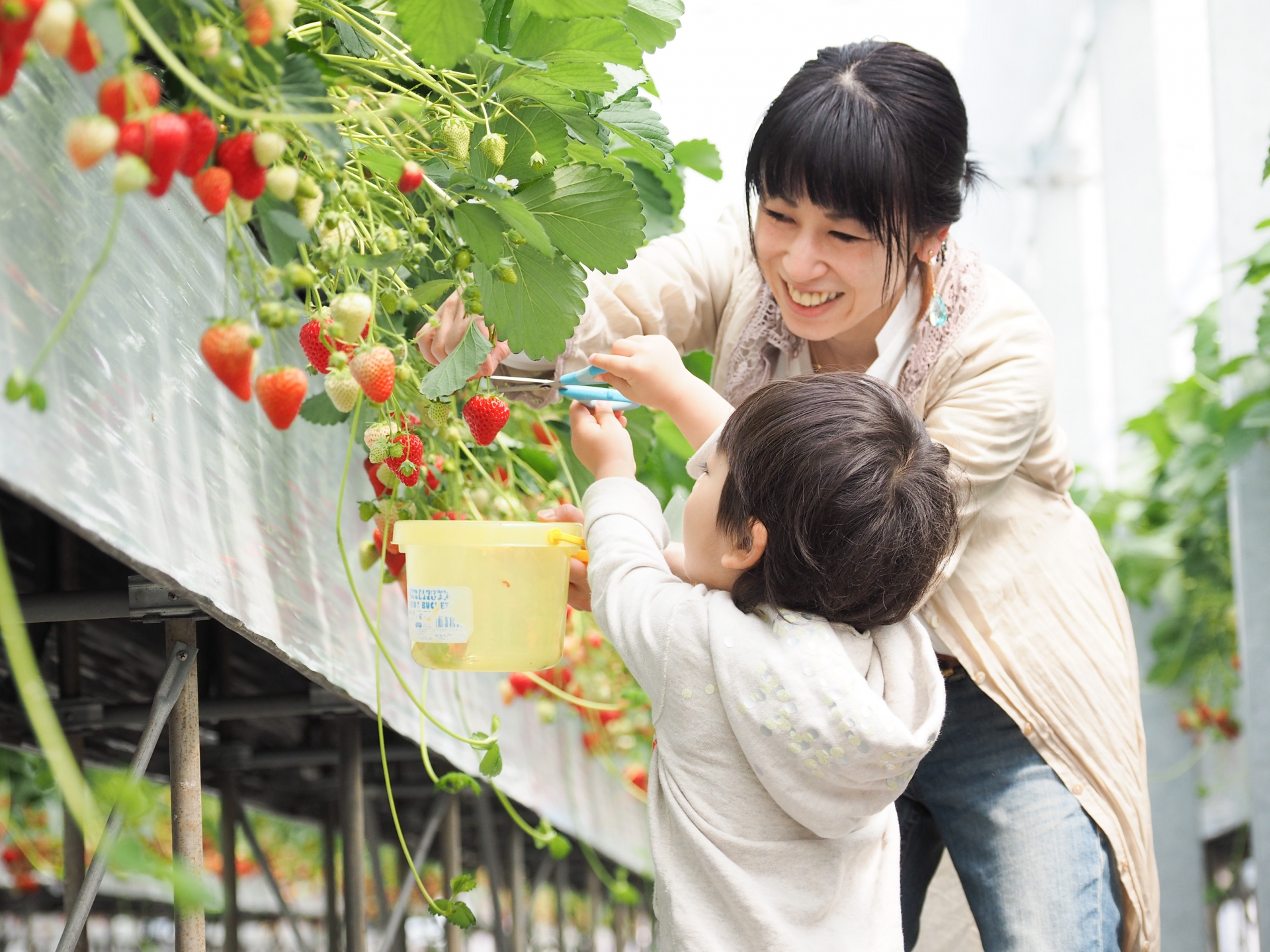 体験型イベントで親子が一緒に楽しんでいる様子