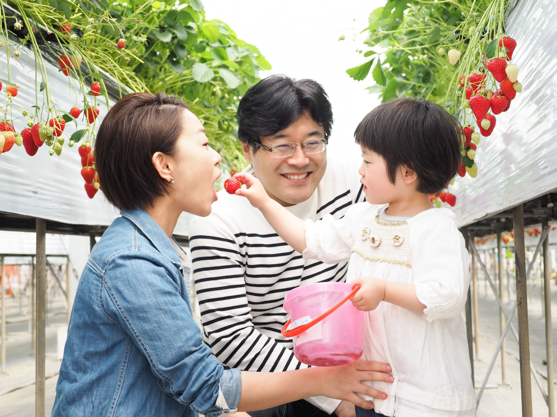 親子が笑顔でいちご狩りを楽しむ様子